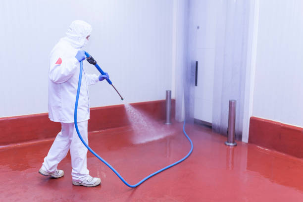 Best Graffiti Removal  in Hallettsville, TX
