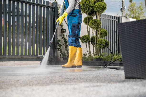 Best Roof Washing  in Hallettsville, TX